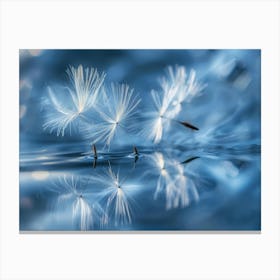 Dandelion Seeds Canvas Print