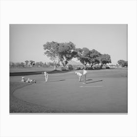 Municipal Golf Course,Phoenix, Arizona By Russell Lee Canvas Print