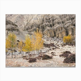 Autumn Trees In The Himalayas Canvas Print