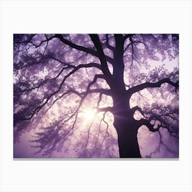 Silhouette Of A Large Tree With Sun Shining Through Its Branches And A Purple Toned Background Canvas Print