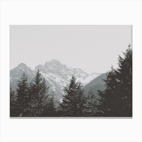 Mountain Peak Forest Canvas Print