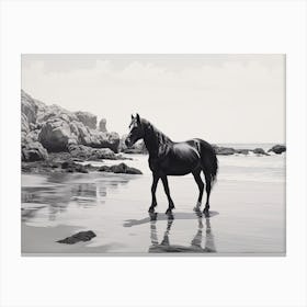 A Horse Oil Painting In Praia Da Marinha, Portugal, Landscape 3 Canvas Print