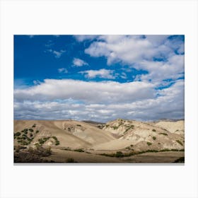 Desert Landscape Canvas Print