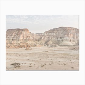 Tree In The Canyon Desert Canvas Print