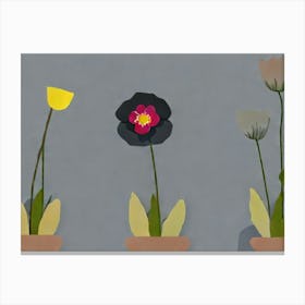 Flowers In Pots Canvas Print