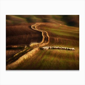 Crossing The Fields Canvas Print