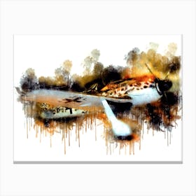 Messerschmitt Wings Splash Art Canvas Print