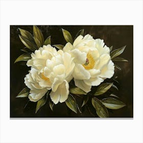 White Peonies 1 Canvas Print