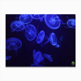 Blue Jellyfish 201907131850 12ppub Canvas Print