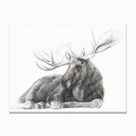 Moose Drawing Canvas Print