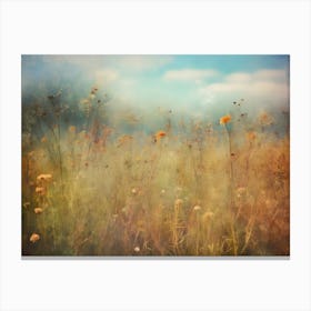 Field Of Wildflowers Canvas Print