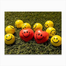 Smiley Faces On Grass Canvas Print