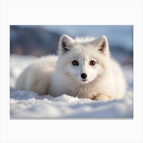 Arctic Fox 3 Canvas Print