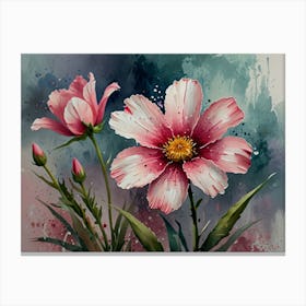 Pink Cosmos Canvas Print