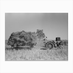 Latest Method Of Transporting Rice From The Field To Thresher, Near Crowley, Louisiana By Russell Lee Canvas Print