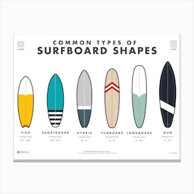 Surfboard Types Canvas Print