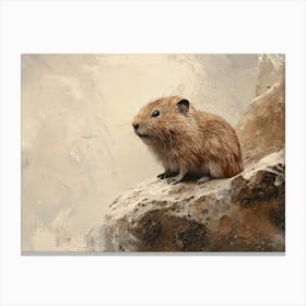 Hamster On A Rock Canvas Print