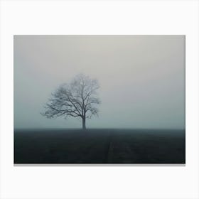 Lone Tree In The Fog Canvas Print