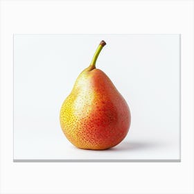 Pear Isolated On White 3 Canvas Print