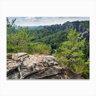 Tree roots, green forest and view of the Amselgrund. Saxon Switzerland National Park Canvas Print