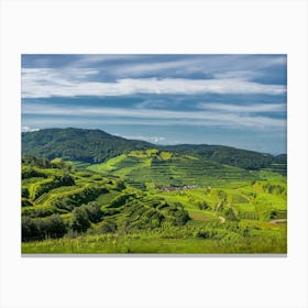 Vineyards In The Mountains 1 Canvas Print