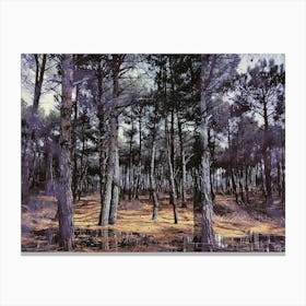 Forest Collage 4 Canvas Print