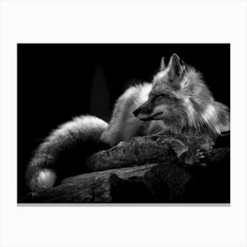 Fox In Black And White Canvas Print