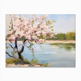 Blossoming Cherry Tree Canvas Print