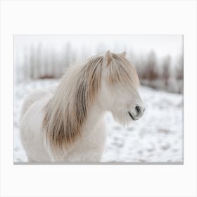Beige Horse In Snow Canvas Print