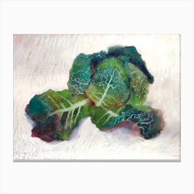 Portrait Of A Savoy Cabbage Canvas Print