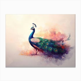 Peacock Painting 14 Canvas Print