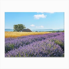French Countryside Canvas Print