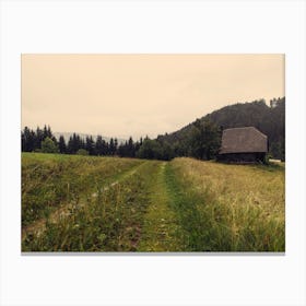 Country Road Canvas Print