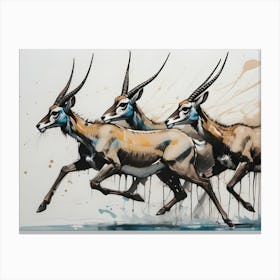 Antelopes Running Canvas Print