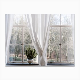 The Windows The White Curtans And The Green Canvas Print