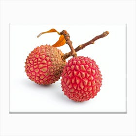 Lychee Fruit 19 Canvas Print