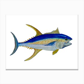 Tuna fish Canvas Print
