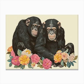 Floral Animal Illustration Bonobo 4 Canvas Print