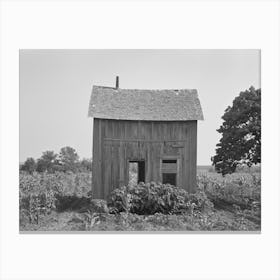 Abandoned House, Surrounded By Growing Corn, Mcintosh Co,Oklahoma By Russell Lee Canvas Print