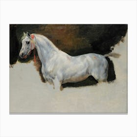 Study Of A White Horse By Horace Vernet (1789-1863) Canvas Print