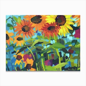 Sunflower Filed Crop2 Canvas Print