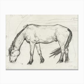 Grazing Horse In Noordwijk (1893), Richard Roland Holst Canvas Print