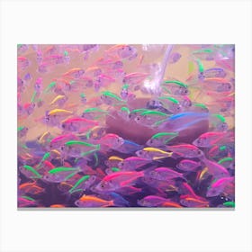 Colorful Neon Glowing Fishes Canvas Print