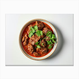Beef Curry In A Bowl Canvas Print