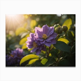 Purple Flowers In The Sun Canvas Print
