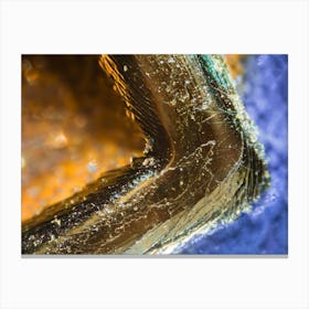 Credit Card Number Under The Microscope 1 Canvas Print
