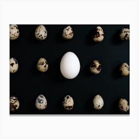 Quail Egg Canvas Print