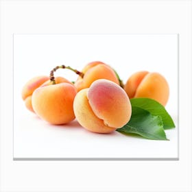 Apricots On White Background 2 Canvas Print