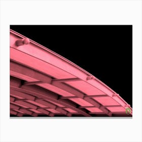 Pink roof 2020060680rt1pub Canvas Print