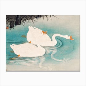 Geese Amid Reeds, Ohara Koson Canvas Print